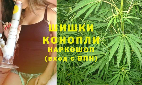 прущие грибы Волгодонск