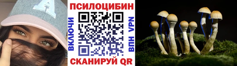 Галлюциногенные грибы Psilocybe  Ленск 